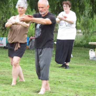 Rencontre  Tai  Chi  au  Vieil  Baugé