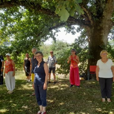 Tai chi  et canicule