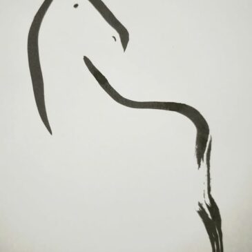 Origami  étoile  5 branches